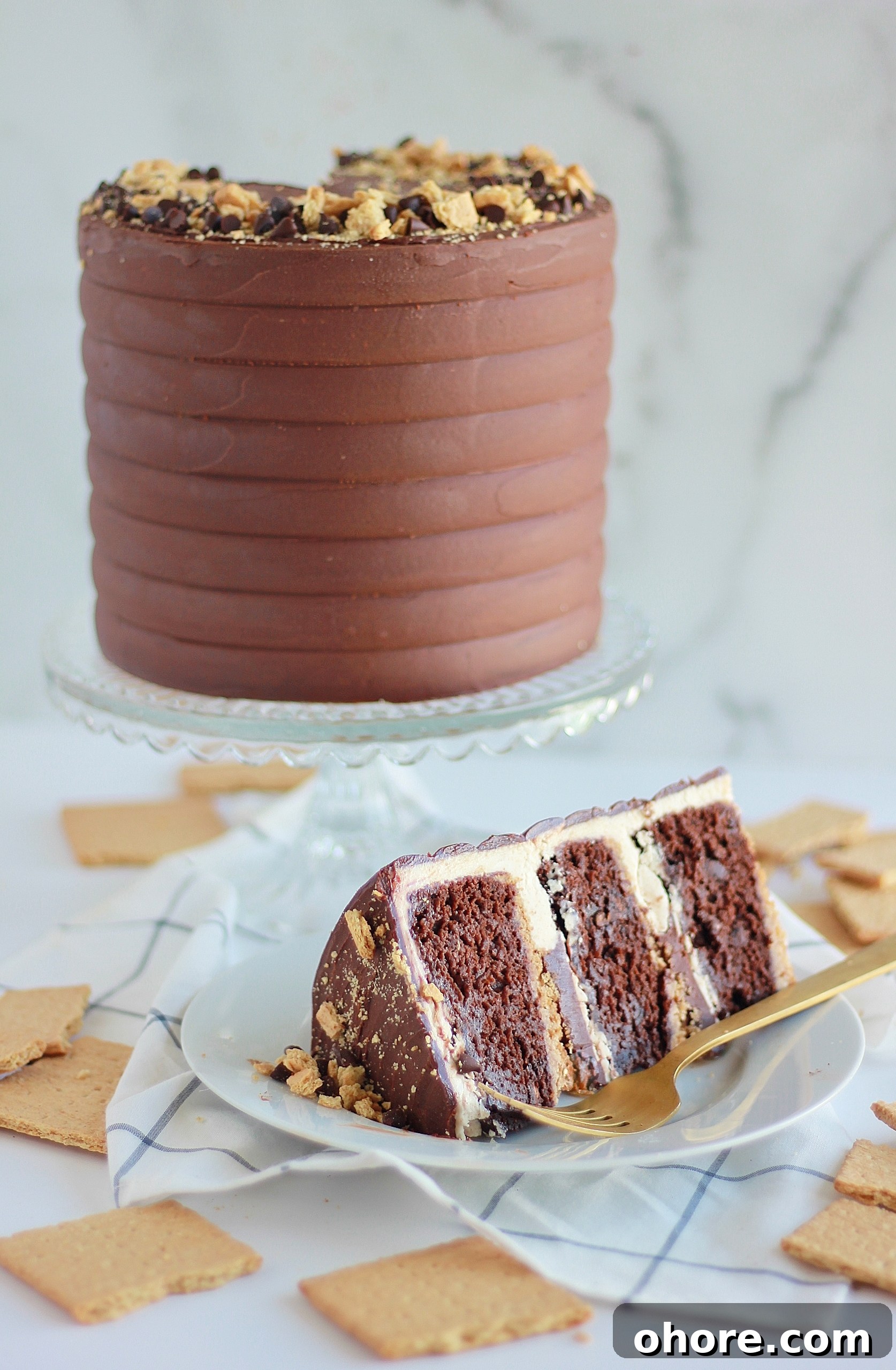 Decadent Chocolate Graham Cracker Layer Cake Recipe 6 img 4429 5