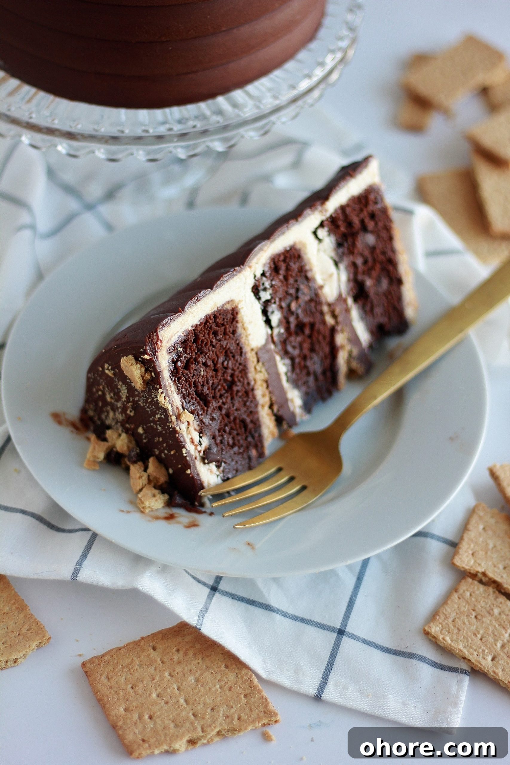 Decadent Chocolate Graham Cracker Layer Cake Recipe 7 img 4429 6 scaled