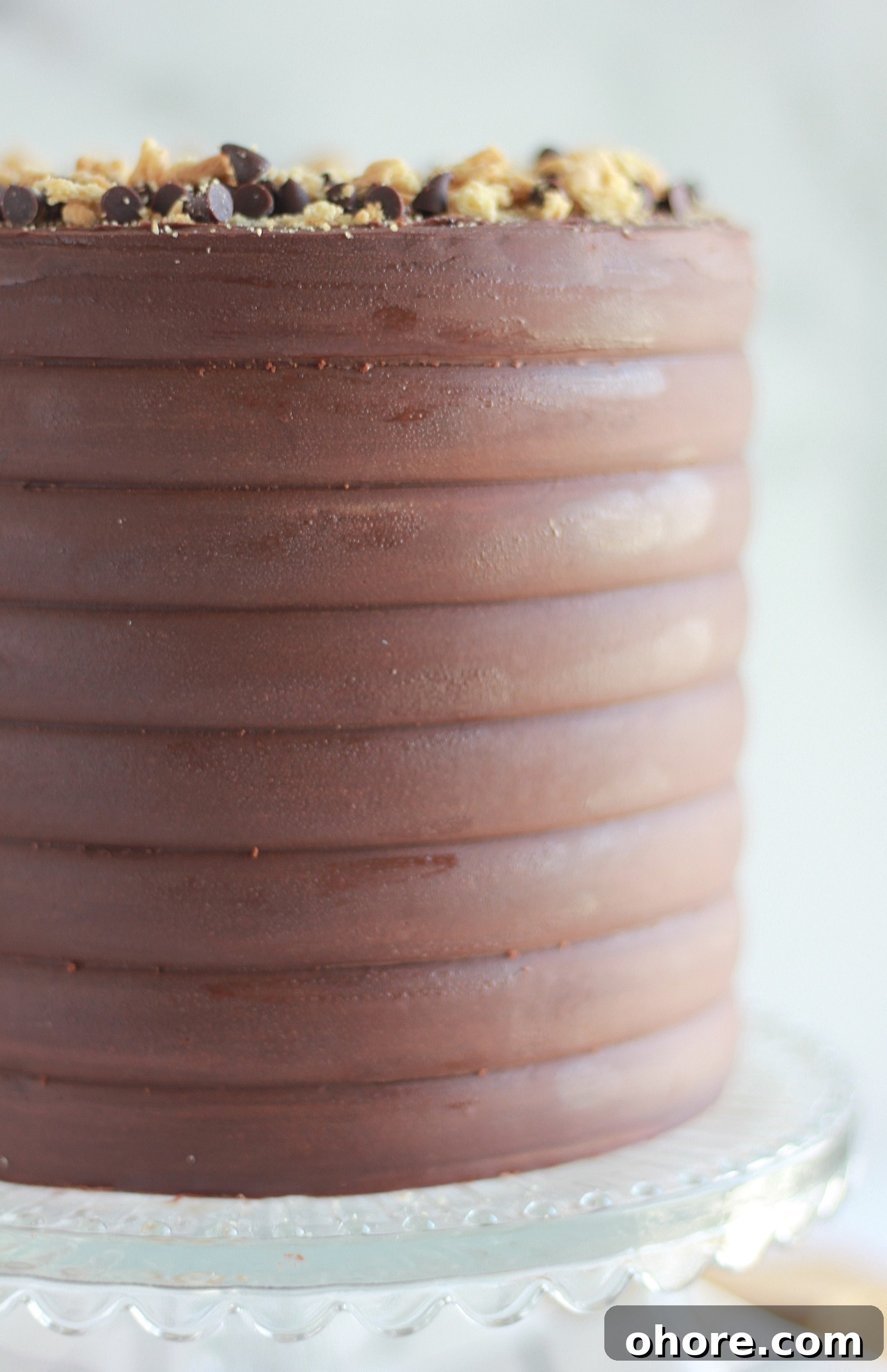 Decadent Chocolate Graham Cracker Layer Cake Recipe 8 img 4429 7