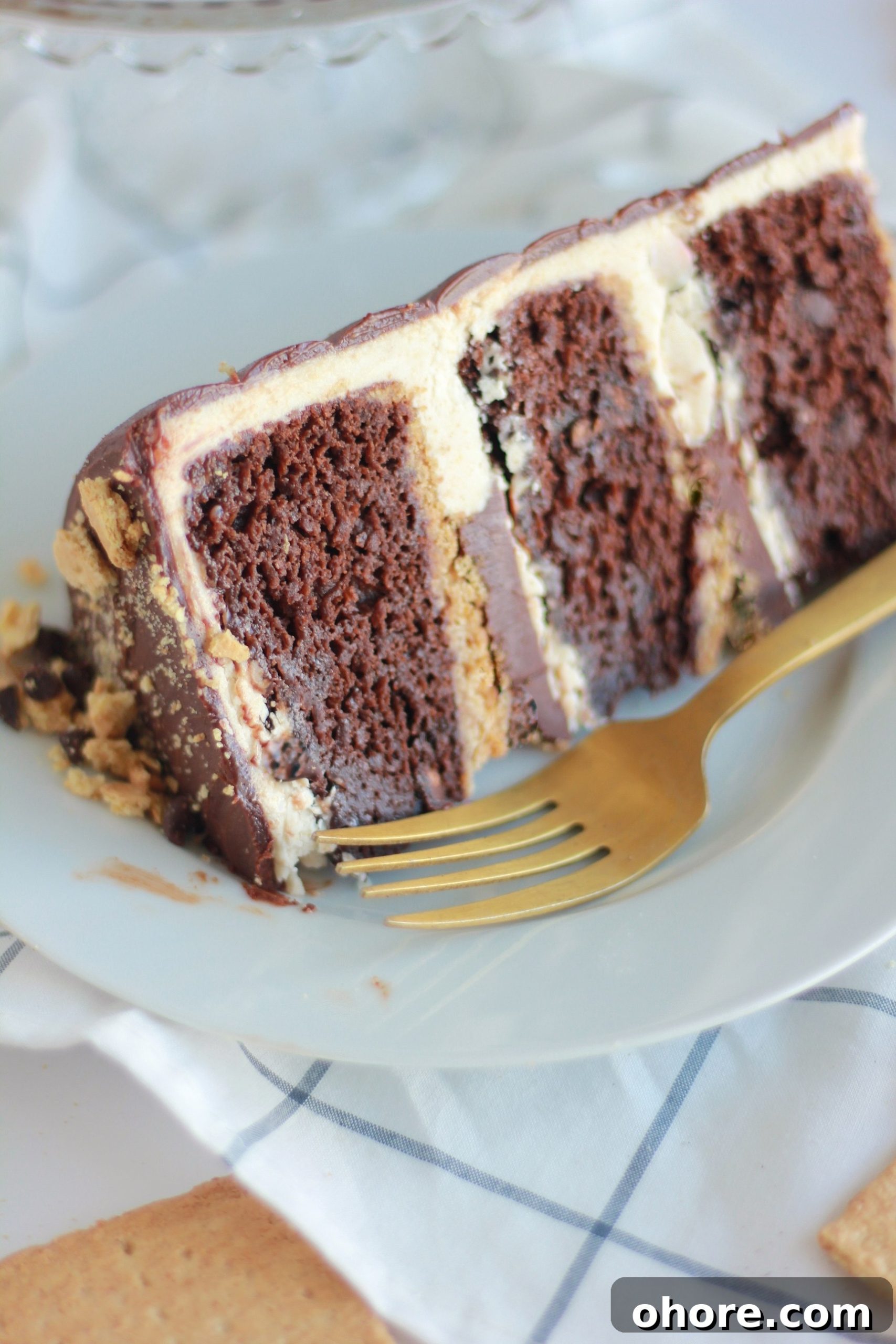 Decadent Chocolate Graham Cracker Layer Cake Recipe 9 img 4429 8 scaled