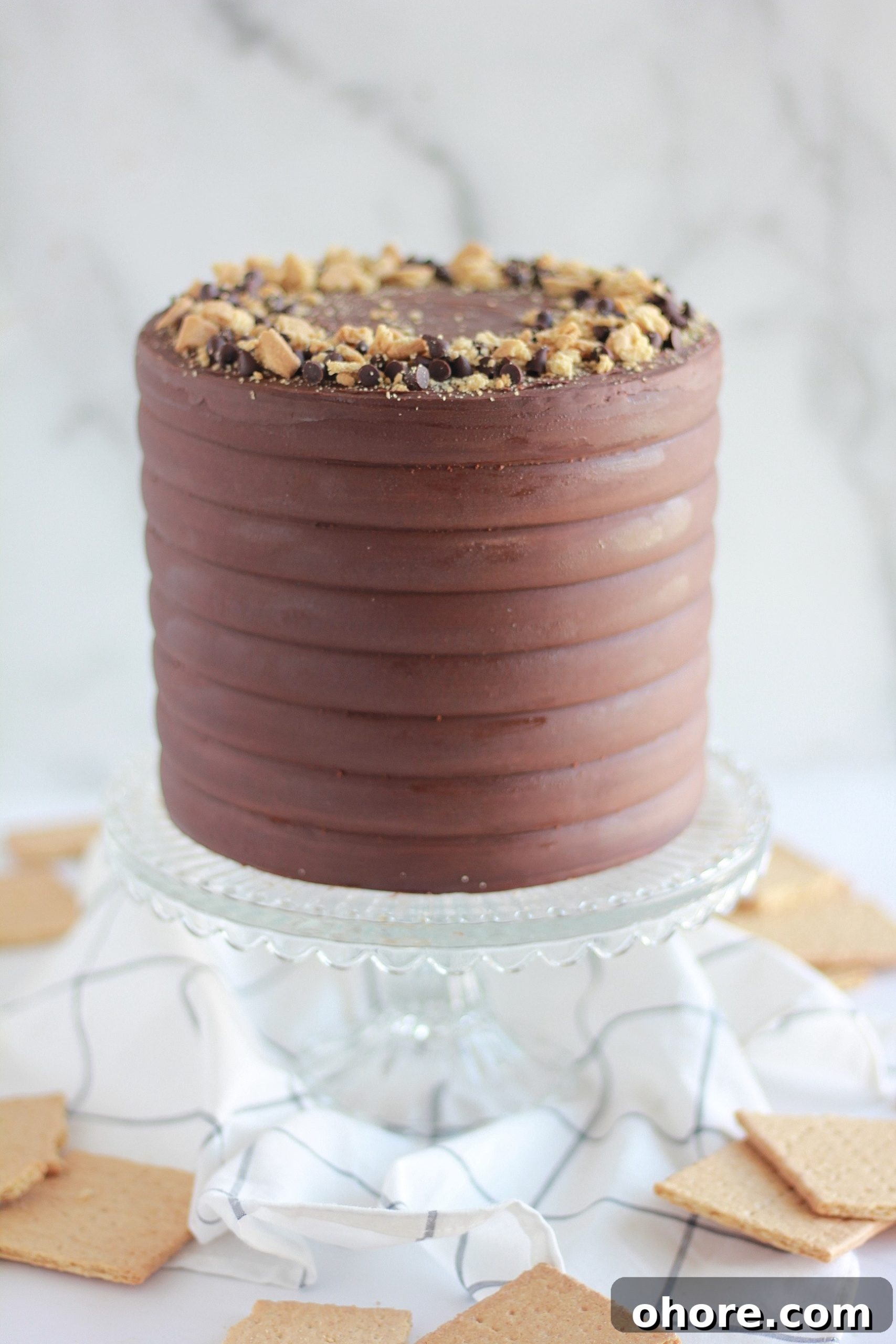Decadent Chocolate Graham Cracker Layer Cake Recipe 10 img 4429 9 scaled