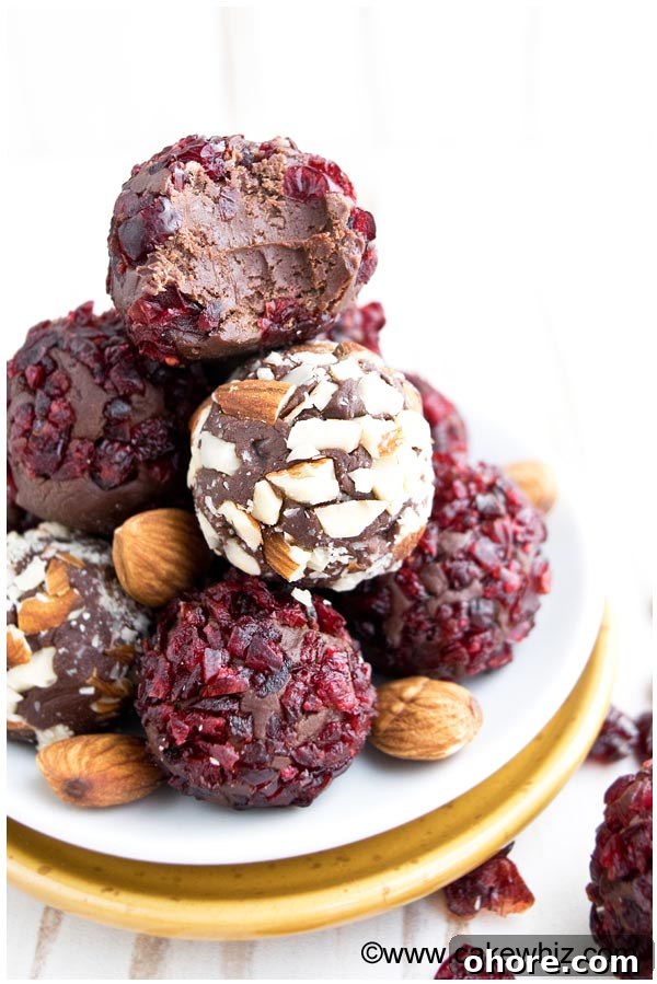 3-Ingredient Chocolate Truffles Recipe: Simple Steps for Rich Results 2 Easy Homemade Chocolate Truffles Stacked on White Dish