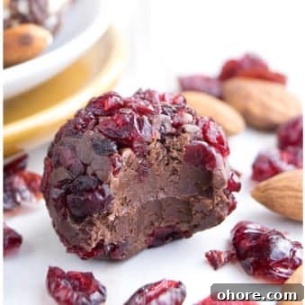 3-Ingredient Chocolate Truffles Recipe: Simple Steps for Rich Results 5 Easy Homemade Chocolate Truffles Covered in Cranberries- Partially Eaten.