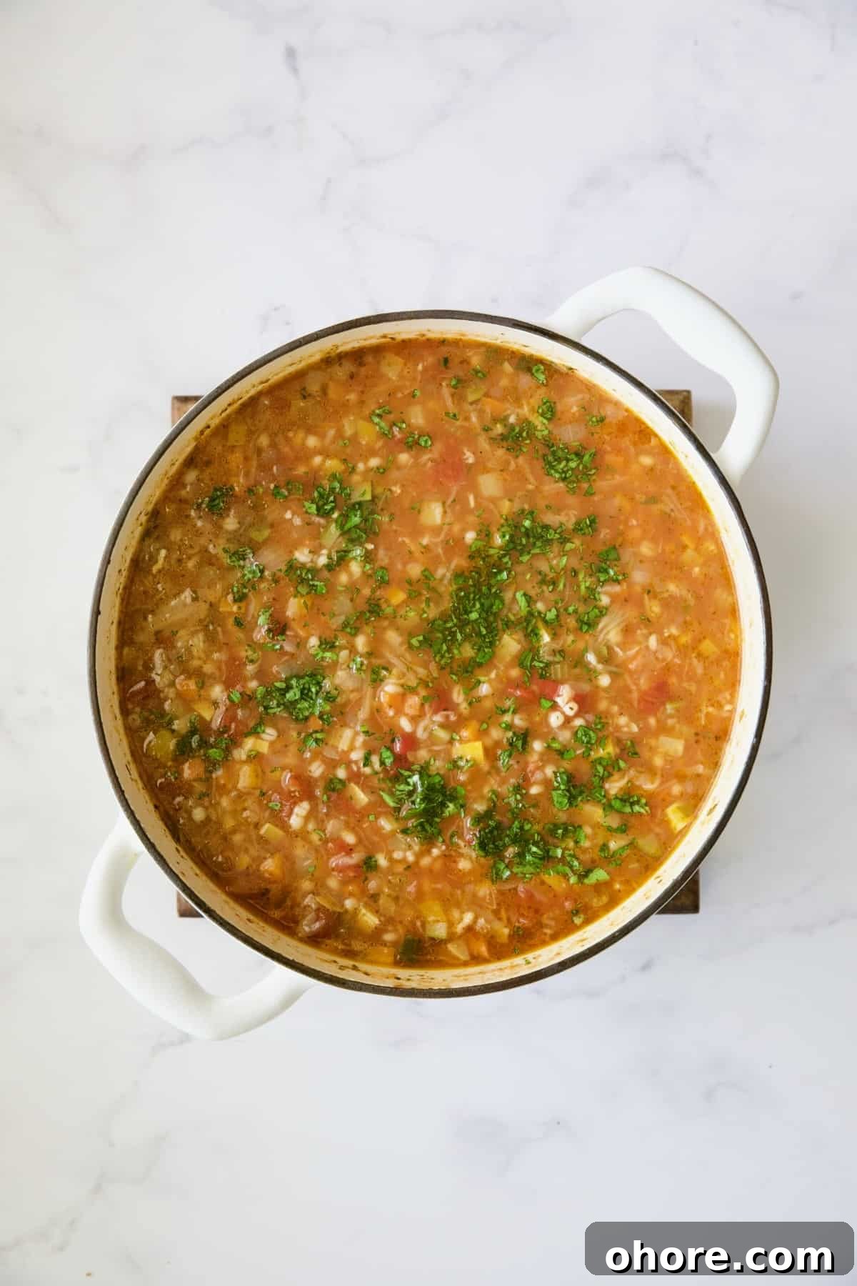 Hearty Vegetable and Barley Soup Recipe for Comforting Meals 8 Vegetable Barley Soup with fresh parsley added after being cooked.