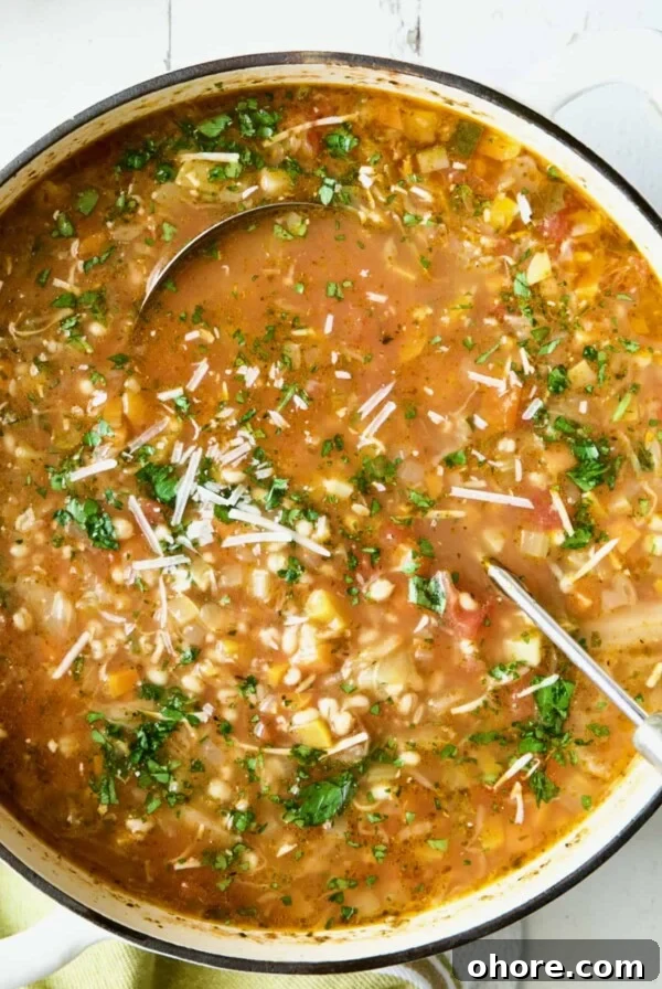 Hearty Vegetable and Barley Soup Recipe for Comforting Meals 11 Vegetable Barley Soup in white Dutch oven.