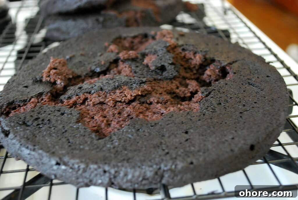 Decadent Caramel Brownie Layer Cake Recipe 4 cake fail