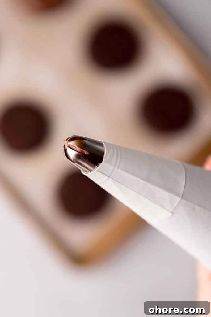 Wilton piping tip