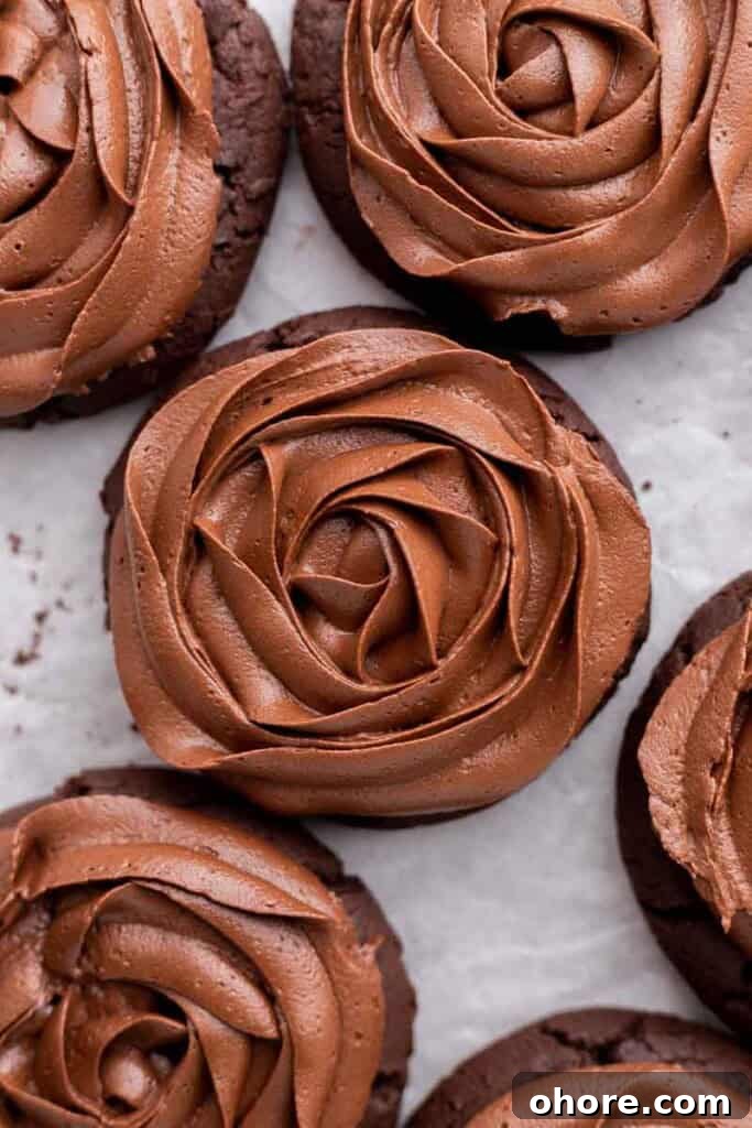 Close up overhead shot of chocolate cookies