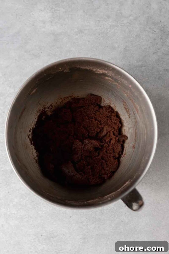 Chocolate cookie dough