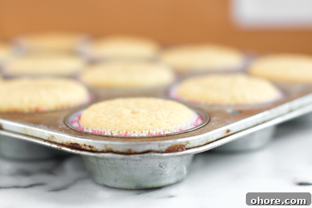 a close up of a shot of baked cupcakes just out of the oven