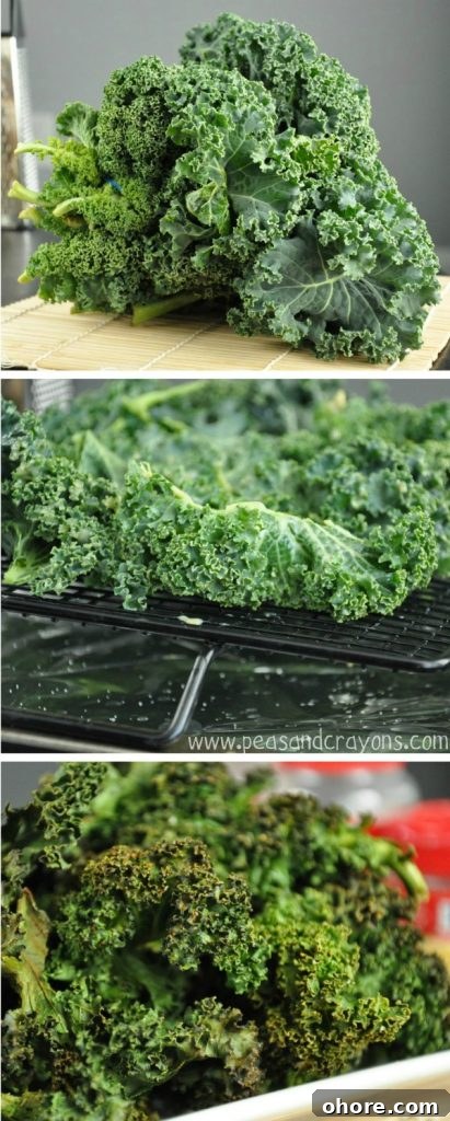 Crispy Spicy Kale Chips Recipe for Bold Snack Lovers 6 Spicy Kale Chips Collage