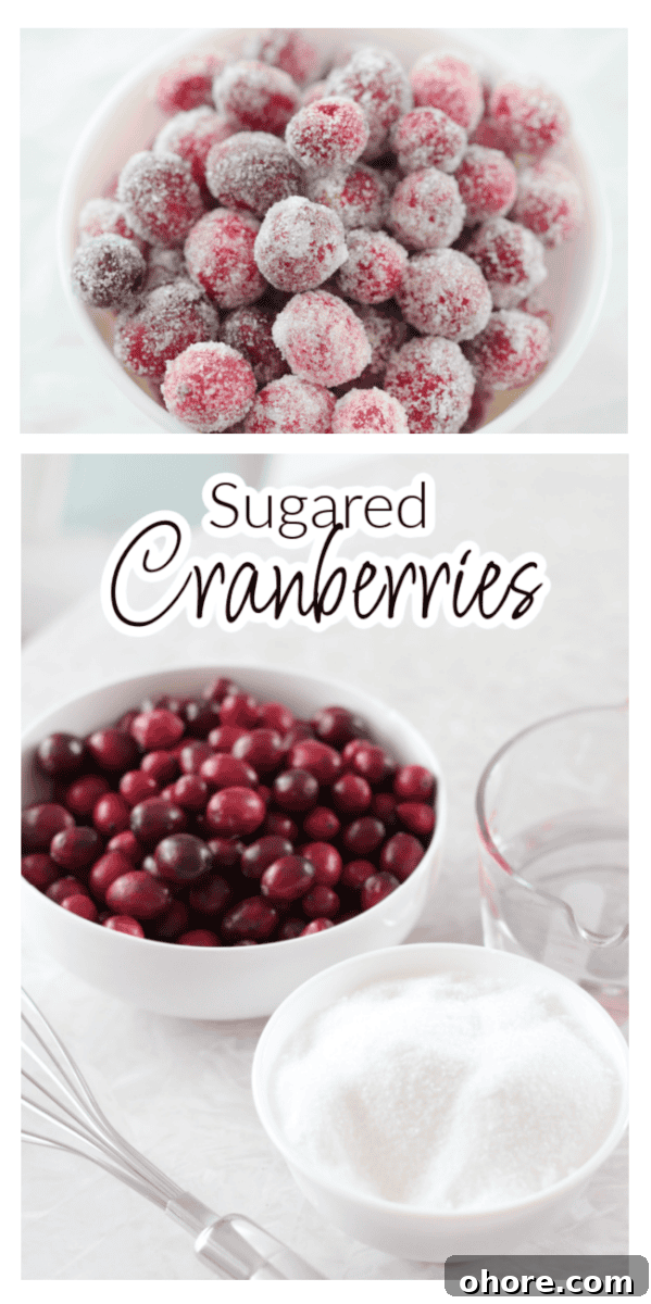 Video Guide: Sugared Cranberries Recipe with Step-by-Step Tips 2 sugared cranberries