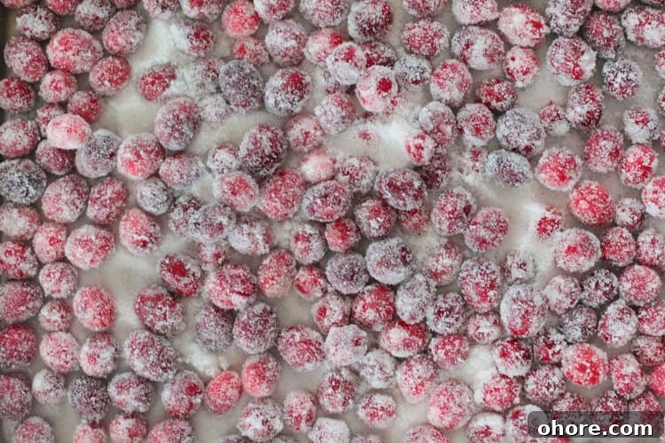 Video Guide: Sugared Cranberries Recipe with Step-by-Step Tips 5 sugared cranberries in a tray
