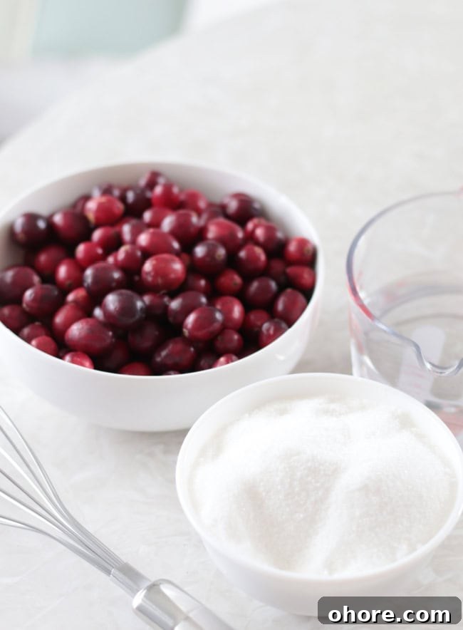 Video Guide: Sugared Cranberries Recipe with Step-by-Step Tips 6 bowls of cranberries, sugar and water