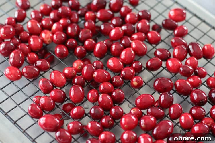 Video Guide: Sugared Cranberries Recipe with Step-by-Step Tips 7 cranberries on wire cooling rack
