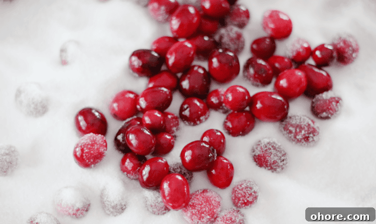 Video Guide: Sugared Cranberries Recipe with Step-by-Step Tips 8 cranberries in white sugar