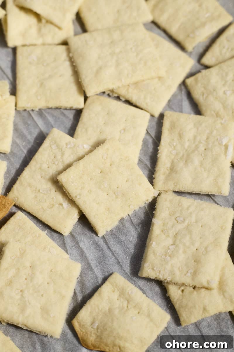 Crispy Sourdough Discard Crackers Recipe for Zero-Waste Snacking 10 Baked crackers on white parchment paper.