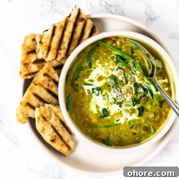 Aa top down view of a bowl of curried lentil soup with grilled naan bread on the side.