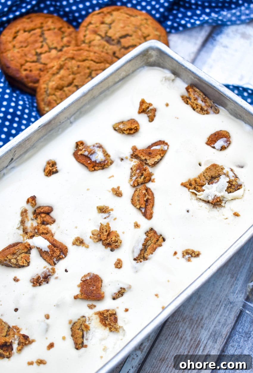 Homemade Oatmeal Cream Pie Ice Cream Recipe 3 copycat little debbie oatmeal cream pie ice cream in a metal loaf pan