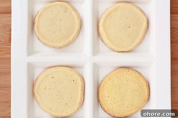 Classic Vanilla Sablés Cookies: Crisp French Butter Cookies Guide 2 img 664 1