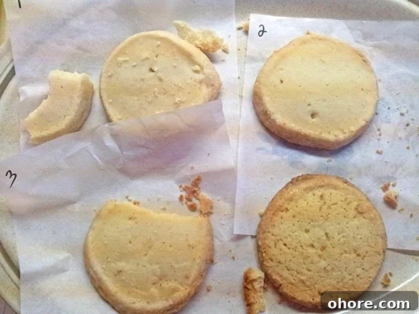 Classic Vanilla Sablés Cookies: Crisp French Butter Cookies Guide 3 img 664 2