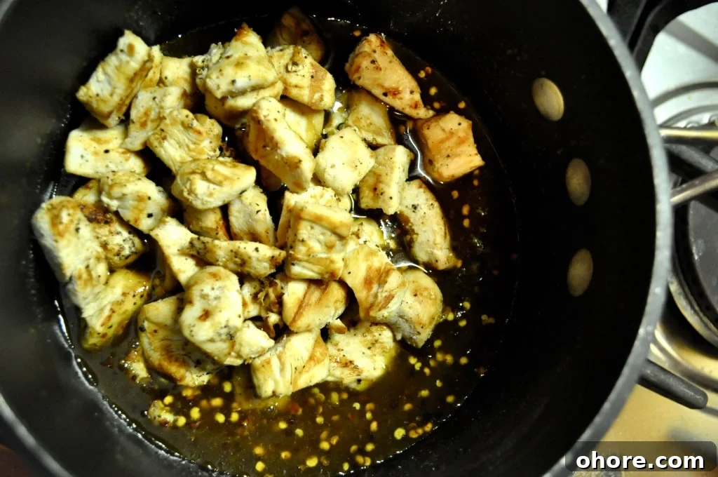 DSC_0042 chicken in orange sauce