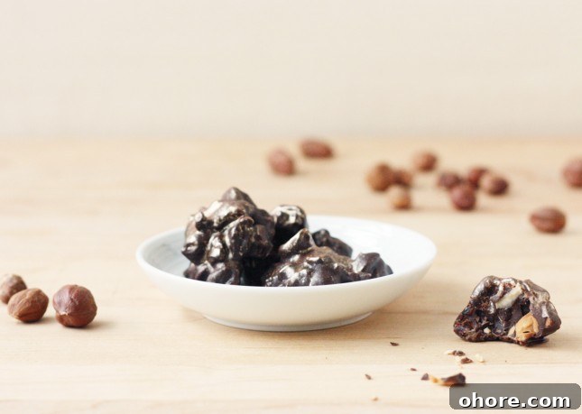 Dark Chocolate, Roasted Hazelnut, and Dried Cherry Bites // FoodNouveau.com