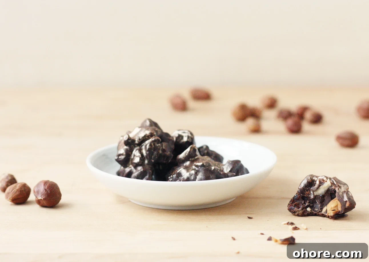 Dark Chocolate, Roasted Hazelnut, and Dried Cherry Bites // FoodNouveau.com