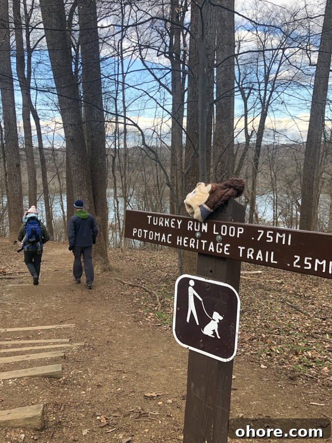 Finding Hope: Practical Ways to Stay Positive and Forward-Looking 3 turkey run park hike