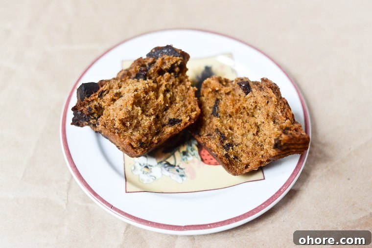 Moist Vegan Chocolate Banana Muffins Recipe 5 Banana Chocolate Muffins