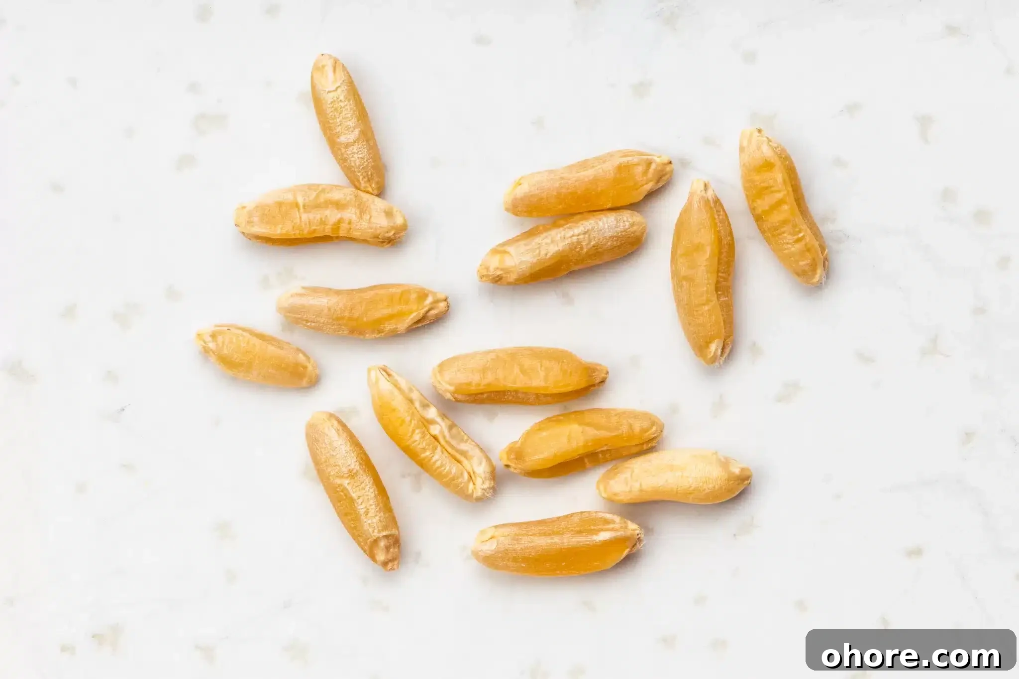 Close-up of a few grains of kamut.
