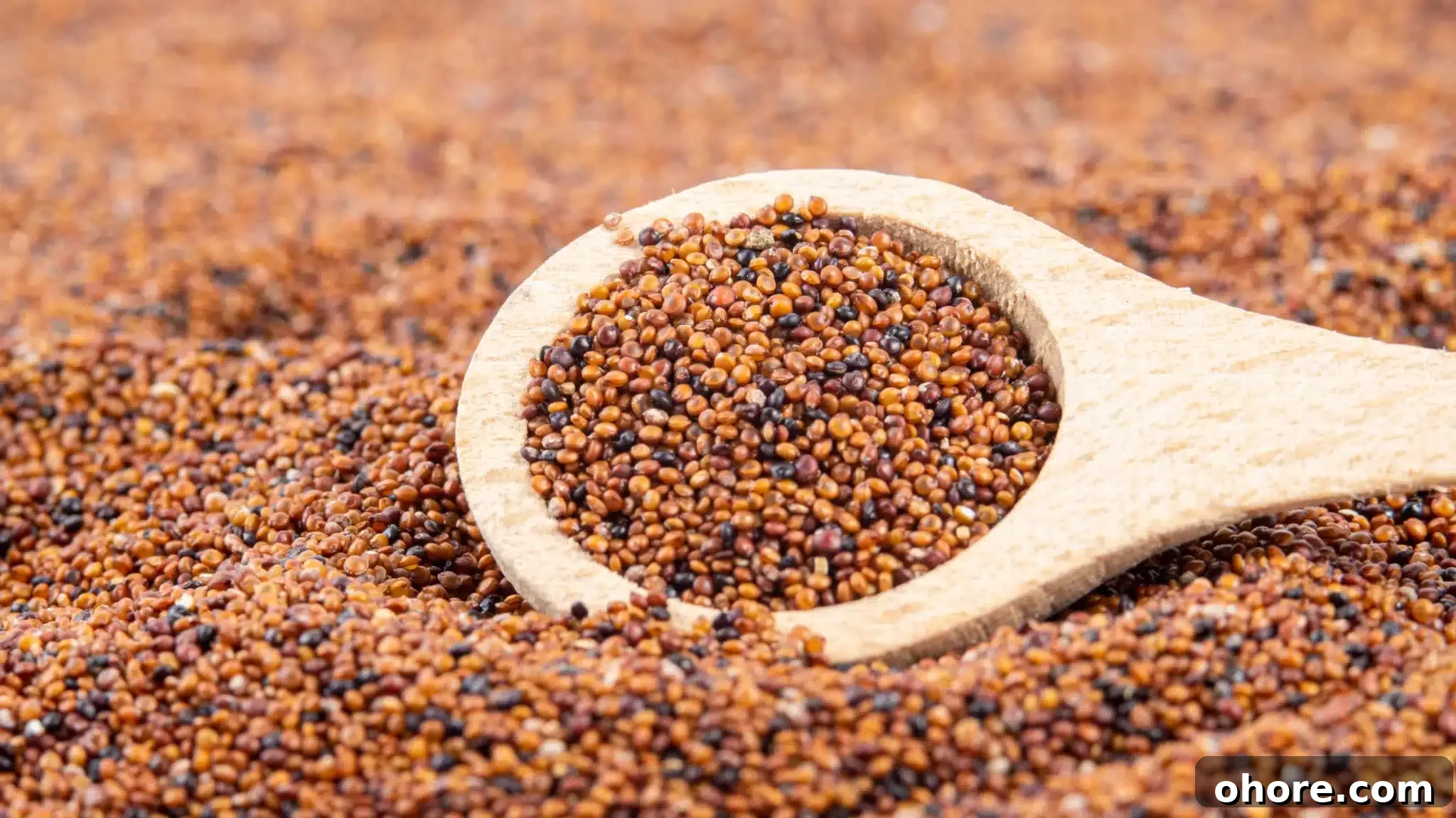 Macro shot depicting a spoonful of kañiwa lying on a bed of the same pseudo-grains.