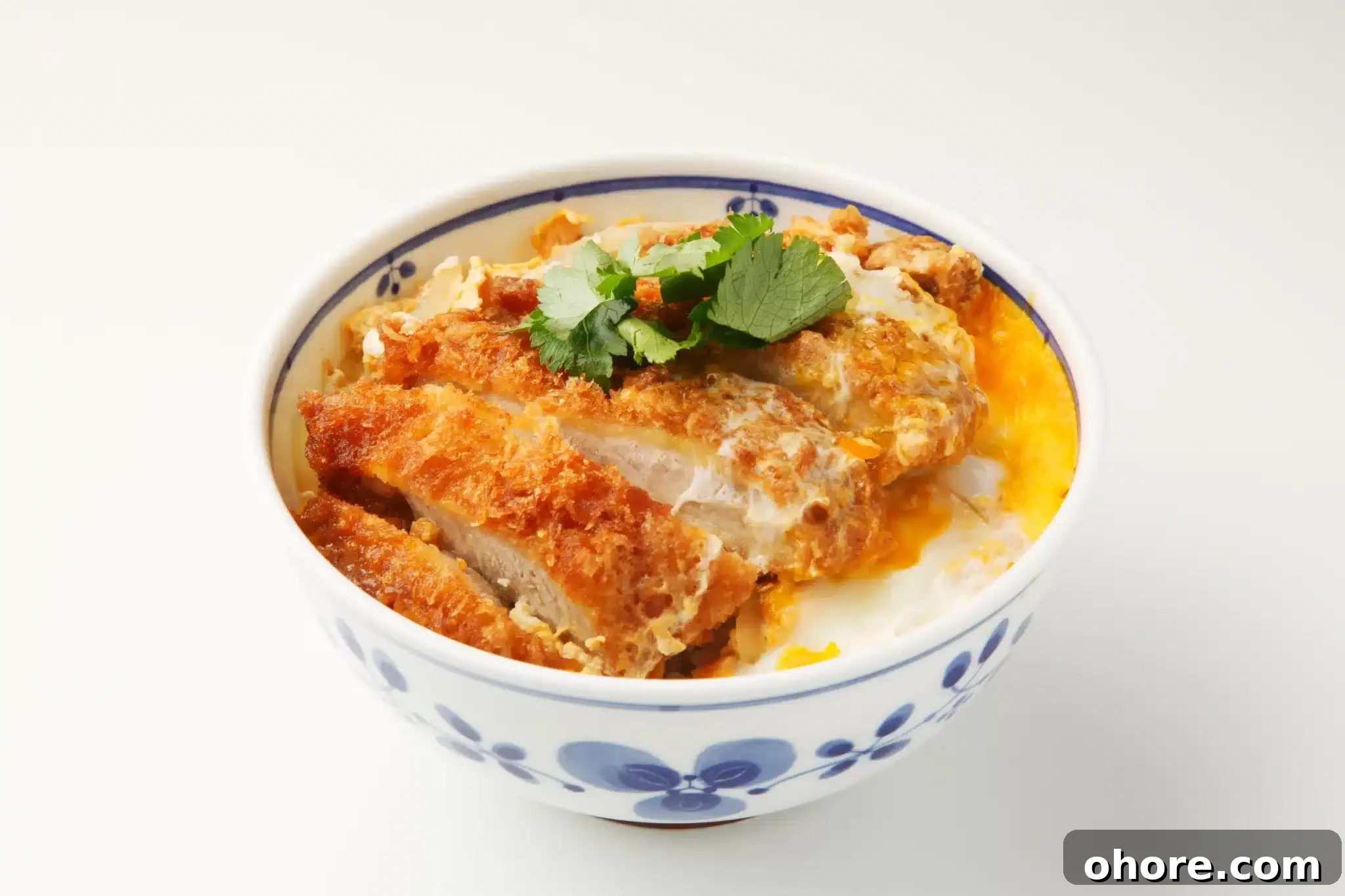 A ceramic bowl full of tasty katsudon.