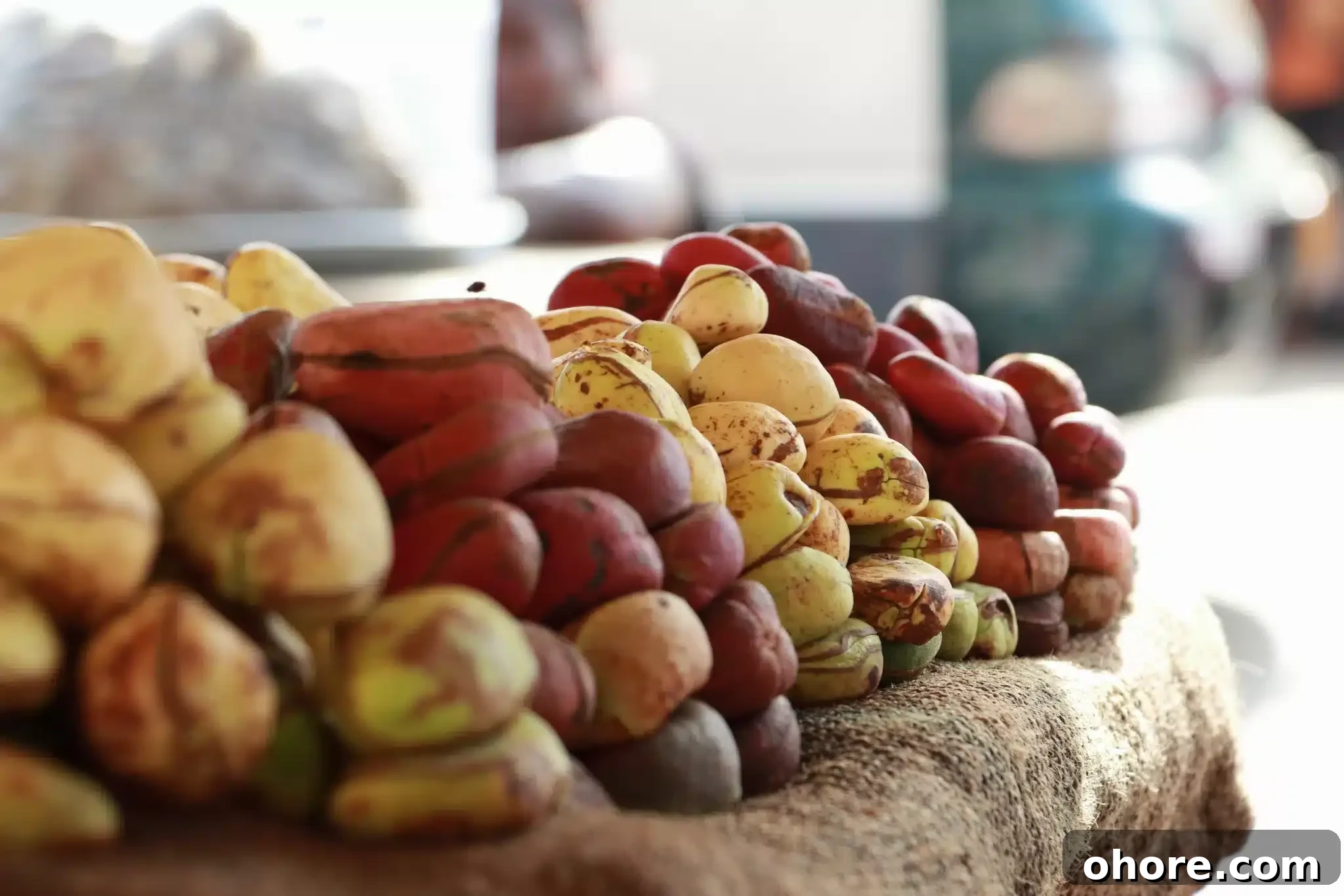 Close-up of a heap of Kola nuts. 