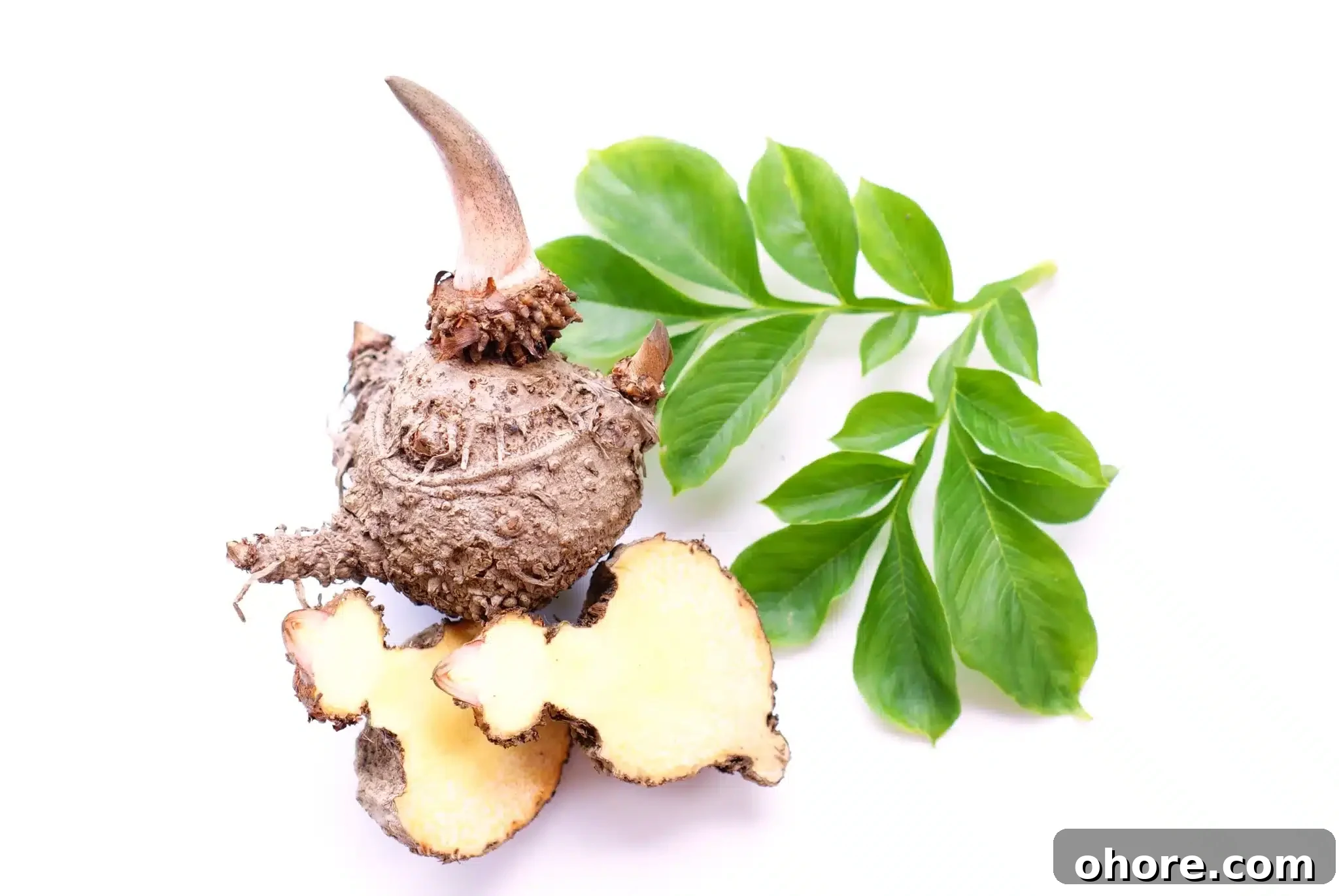Whole and cut konjac roots, accompanied by green leaves.