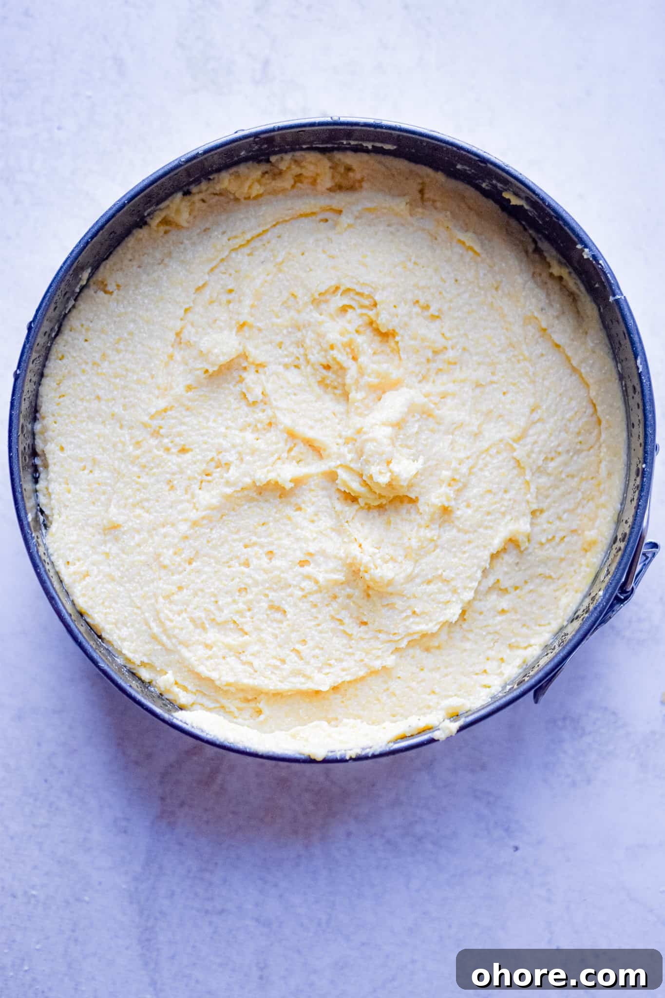 The batter is added to the springform pan.