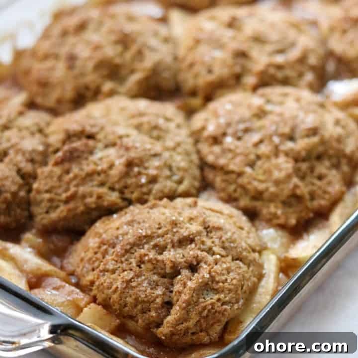 Gingerbread cobbler with apples and pears in a baking dish