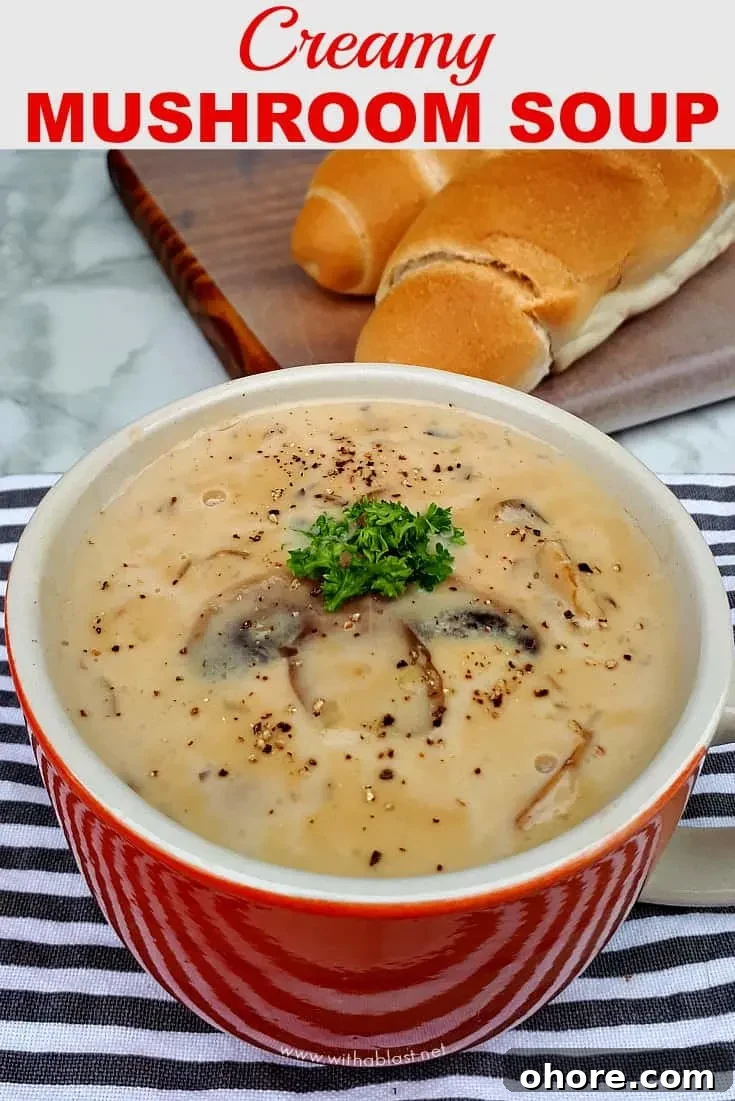 Creamy Mushroom Soup is a quick, homemade, comforting soup recipe which uses all standard pantry ingredients - filling and delicious ! #MushroomSoup #HomemadeMushroomSoup #MadeFromScratchSoup #ComfortFood #SoupRecipes