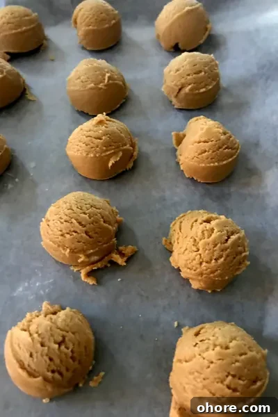 freeze peanut butter bites