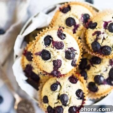Best Gluten-Free Vegan Blueberry Muffins