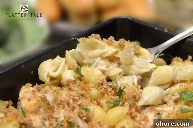 Nutritious, Low-Cost Meals to Feed Homeless Shelters and the Hungry 8 Creamy pasta shells being lifted with fork from dish