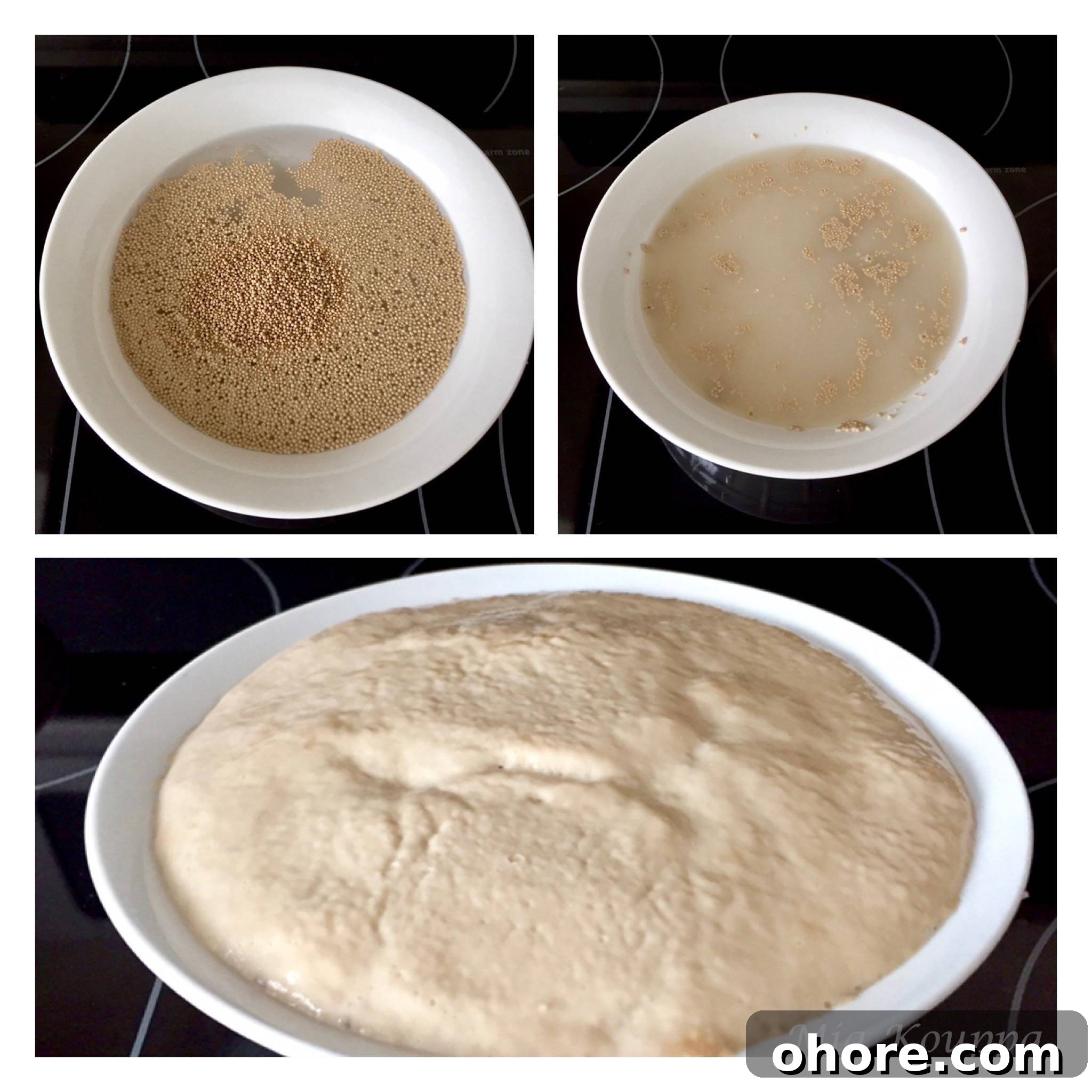 Tsoureki: Traditional Greek Easter Bread Recipe and Tips 6 IMG_5669