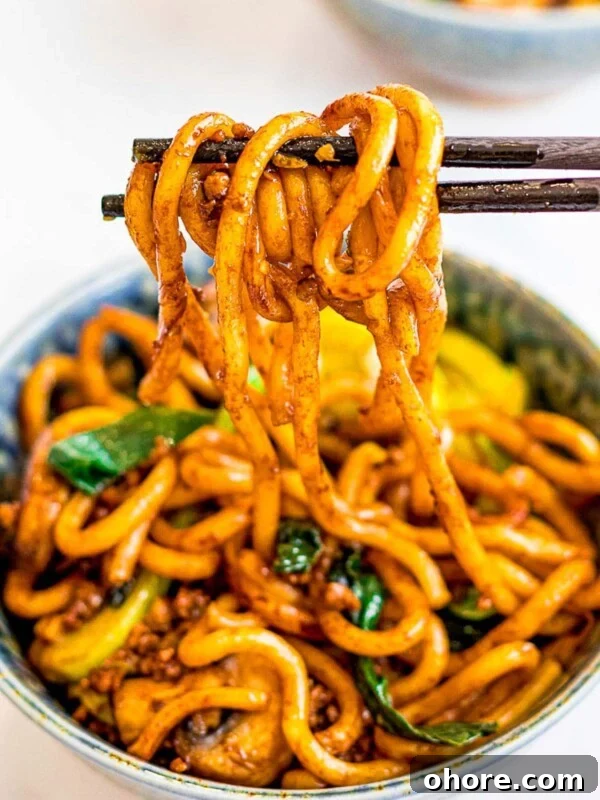 Japanese Hambagu (Hamburger Steak) Recipe — Authentic Pan-Fried Steak 15 a bowl of yaki udon, stir fried udon noodles held by chopsticks