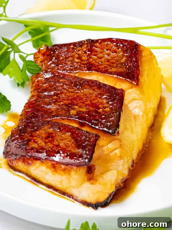 Japanese Hambagu (Hamburger Steak) Recipe — Authentic Pan-Fried Steak 17 Asian sea bass pan seared with crispy skin side up on a white plate next to herbs.