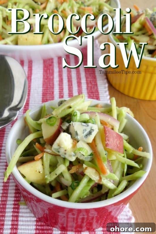 Quick Broccoli Slaw Recipe You Can Make Tonight 2 Broccoli slaw in a red ramekin bowl next to a white bowl and spoon