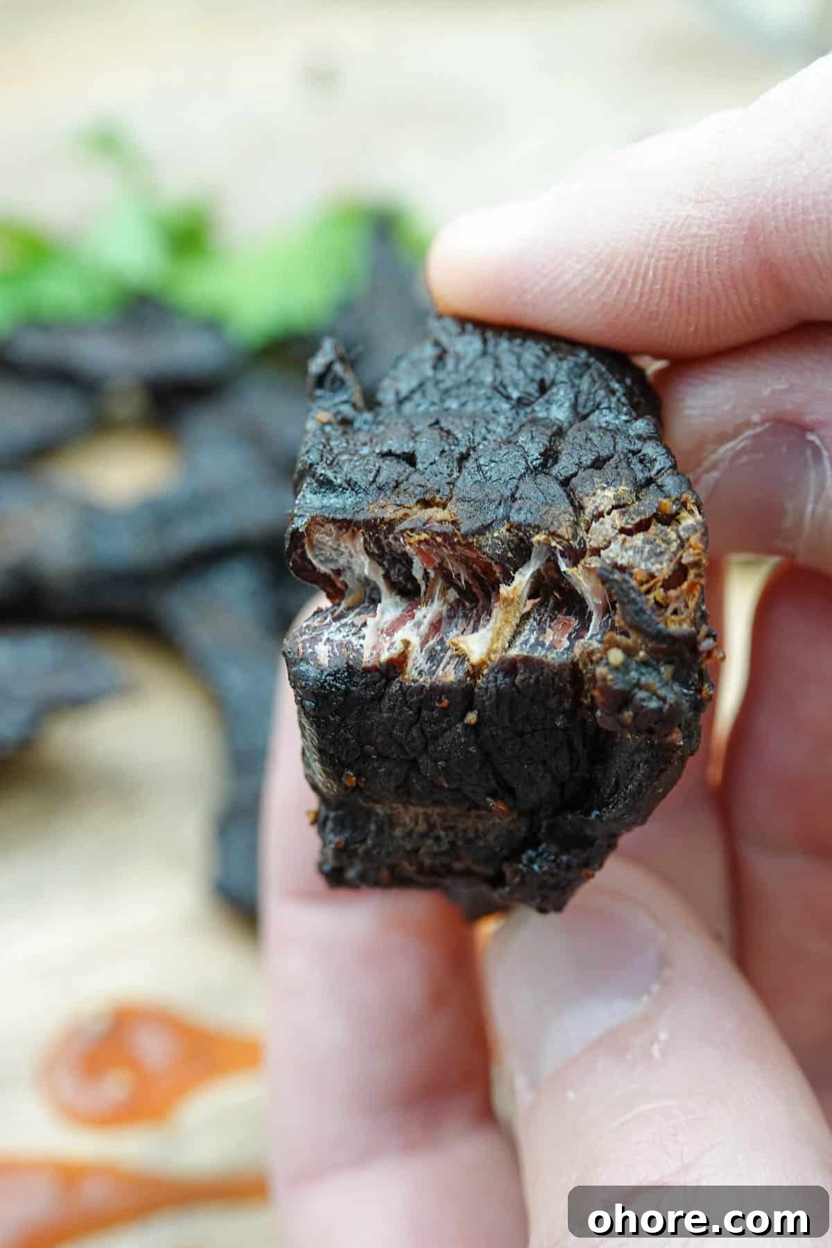 Beef jerky bent in half