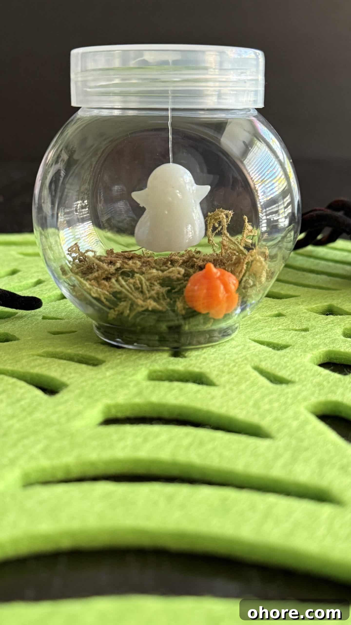 DIY Pet Ghost Halloween Craft from Dollar Tree 3 homemade pet ghost