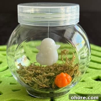 DIY Pet Ghost Halloween Craft from Dollar Tree 5 A hanging ghost inside a plastic transparent container with grass looking stuff in the bottom with a little pumpkin.